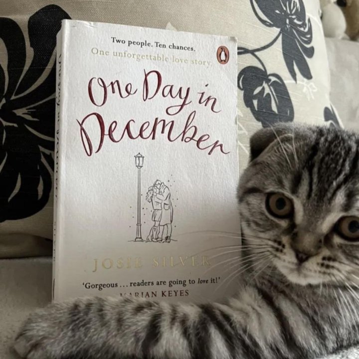 Книга на английском One day in December