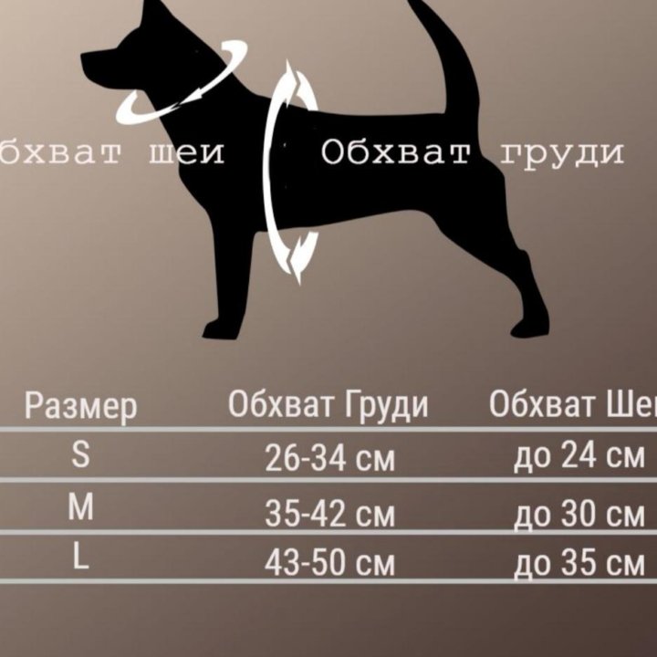 Шлейка для собаки с поводком