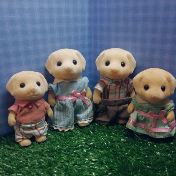 Sylvanian Families Набор 