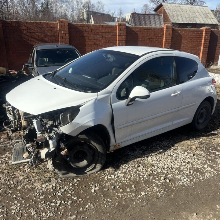 Peugeot 207, 2009