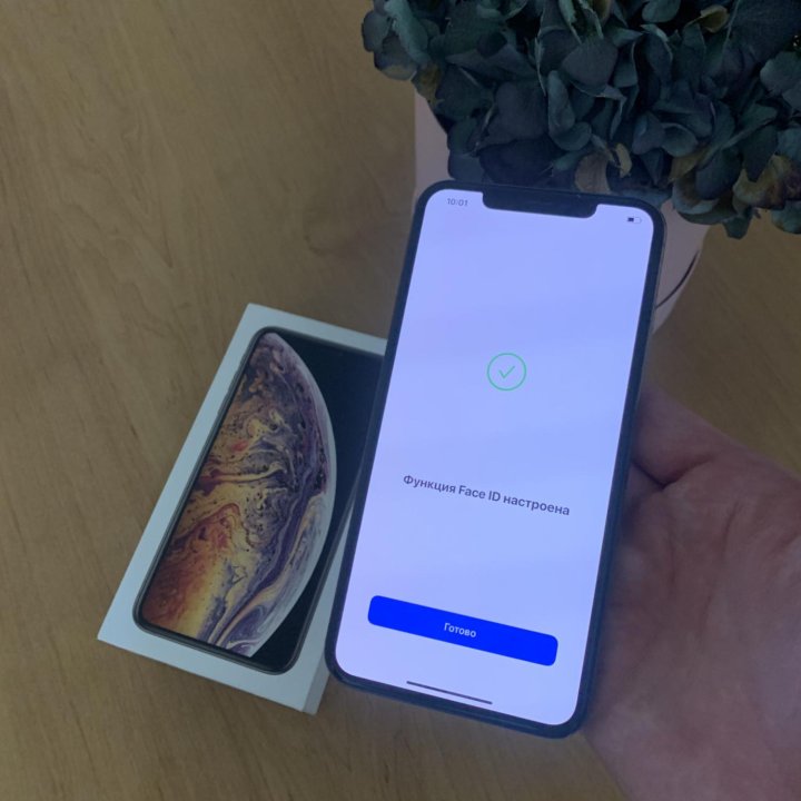 iPhone XS Max 256GB Gold Идеал