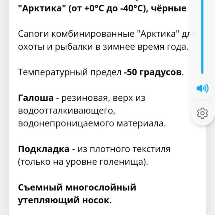 Зимние сапоги Арктика