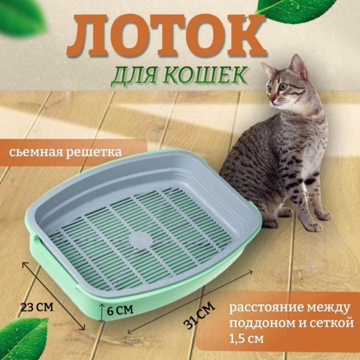 Лоток для котят