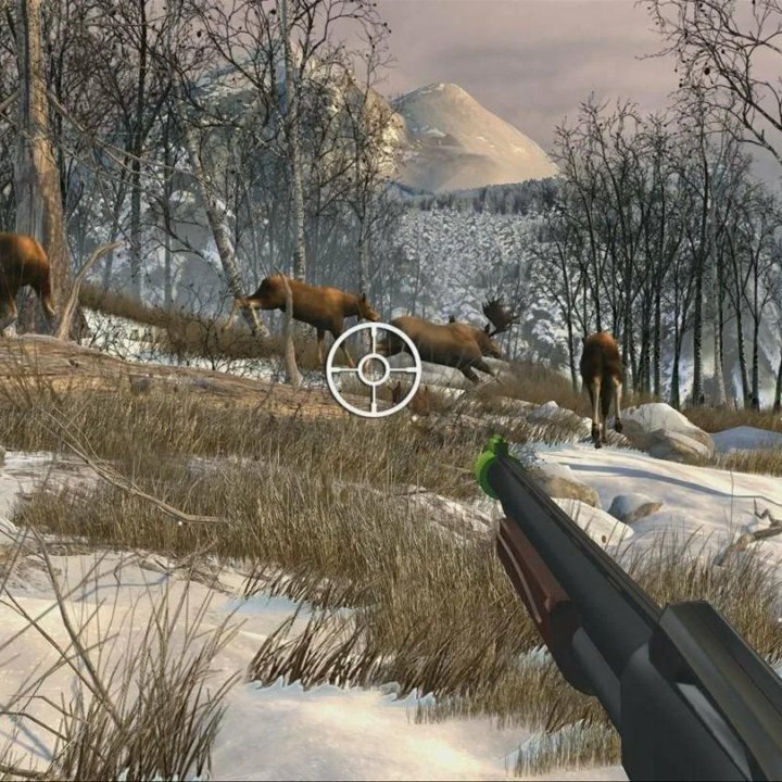 Big Buck Hunter Arcade [PS4, английская версия]