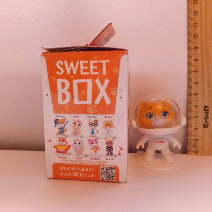 Котята из sweet box