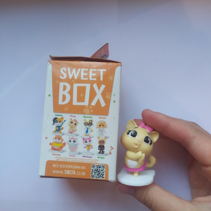 Котята из sweet box