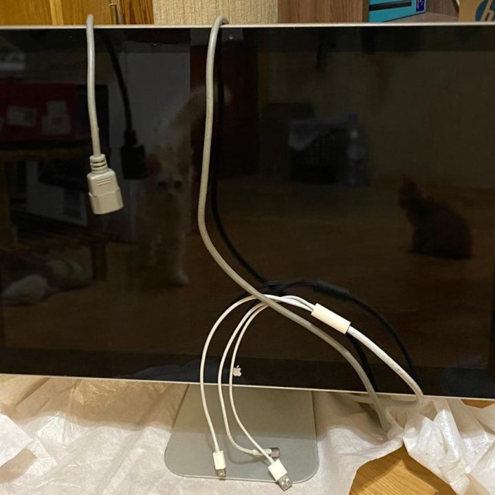 Apple LED Cinema Display 24