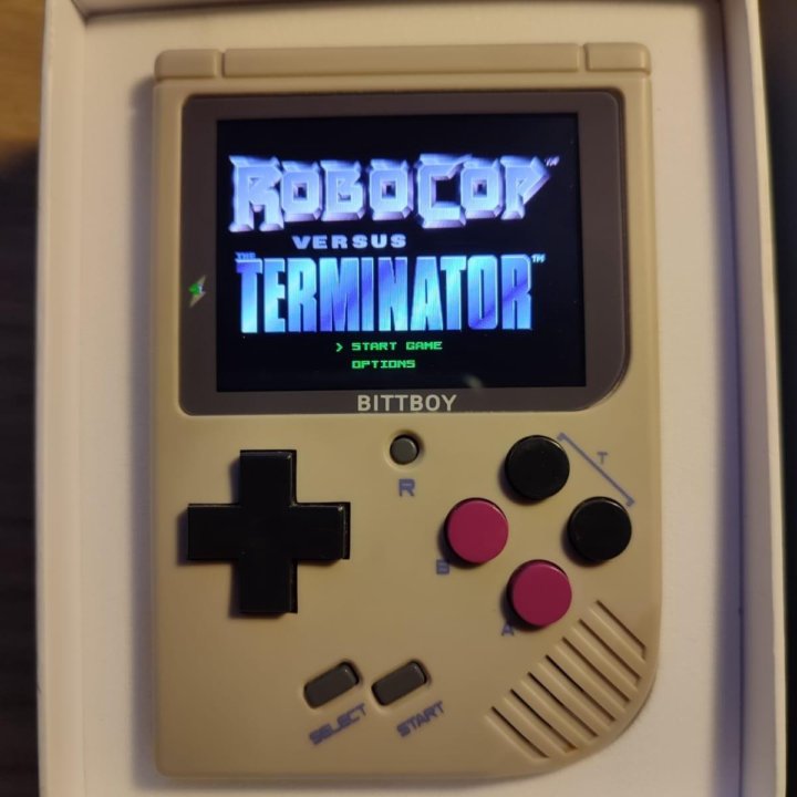 BITTBOY