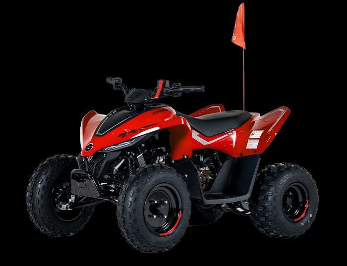 CFMOTO CFORCE 110 EFI