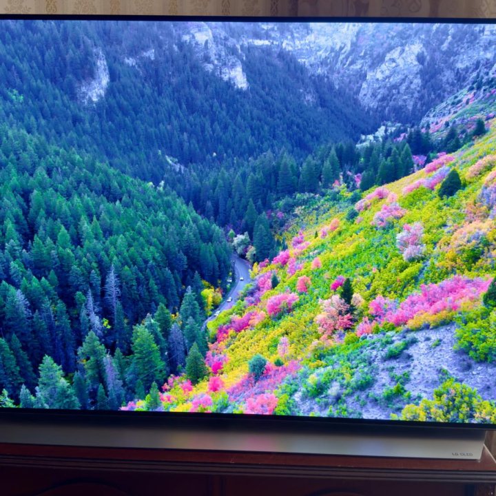 Телевизор LG OLED55C12LA