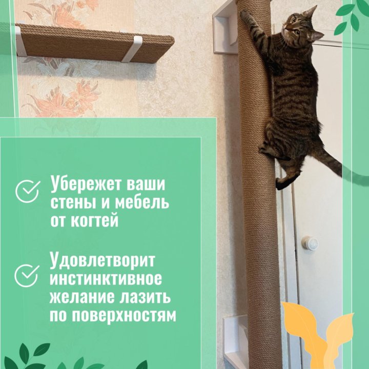 Когтеточка для кошек