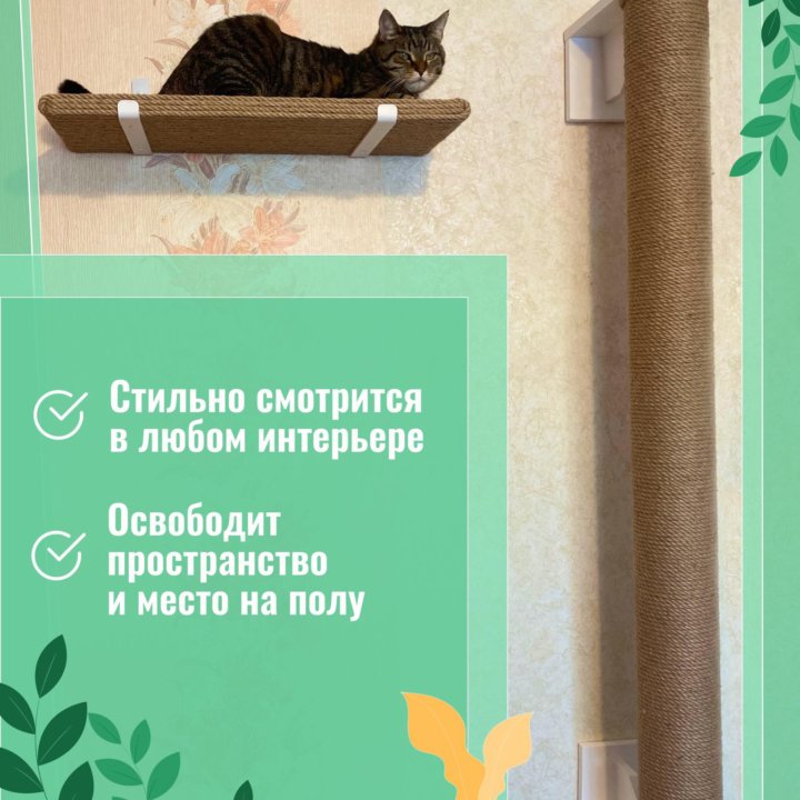 Когтеточка для кошек