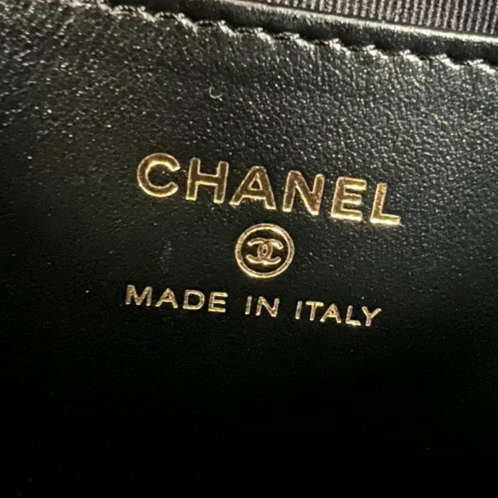 Chanel сумка из новой коллекции 2024