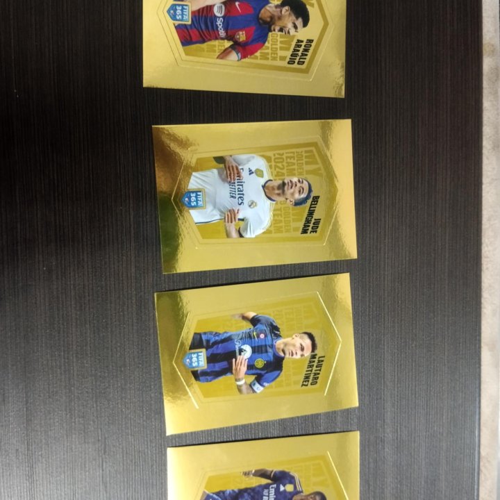 Panini FIFA 365 2024