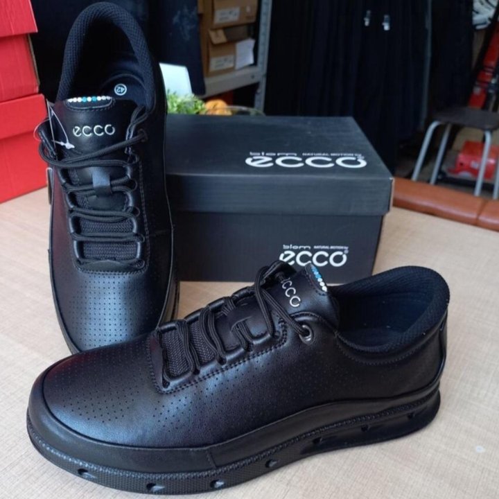 Кеды Ecco Biom