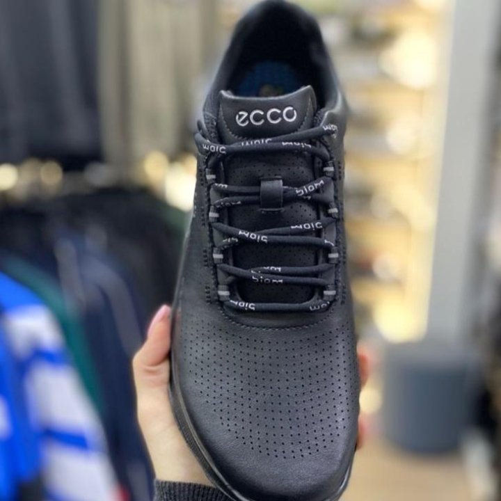 Кроссовки Ecco Biom