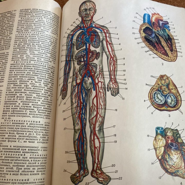 Медицинская энциклопедия