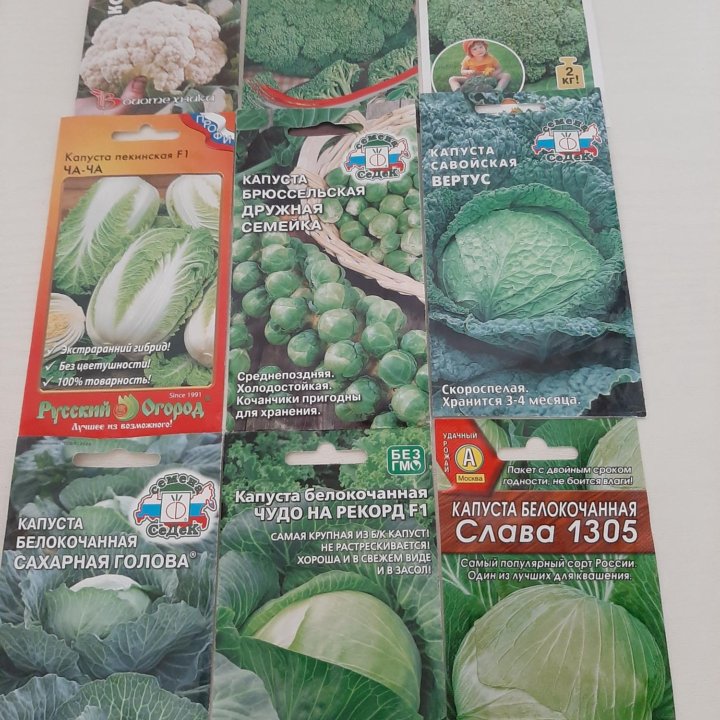 Семена капусты