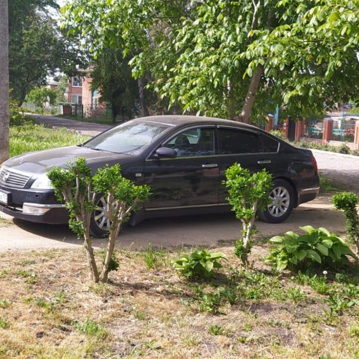 Nissan Teana, 2006