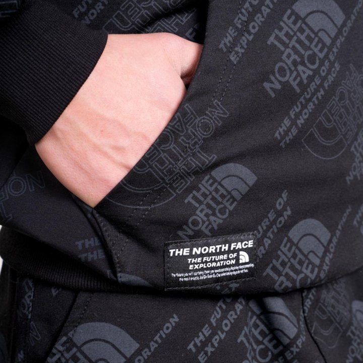 Худи TNF (В Наличии)