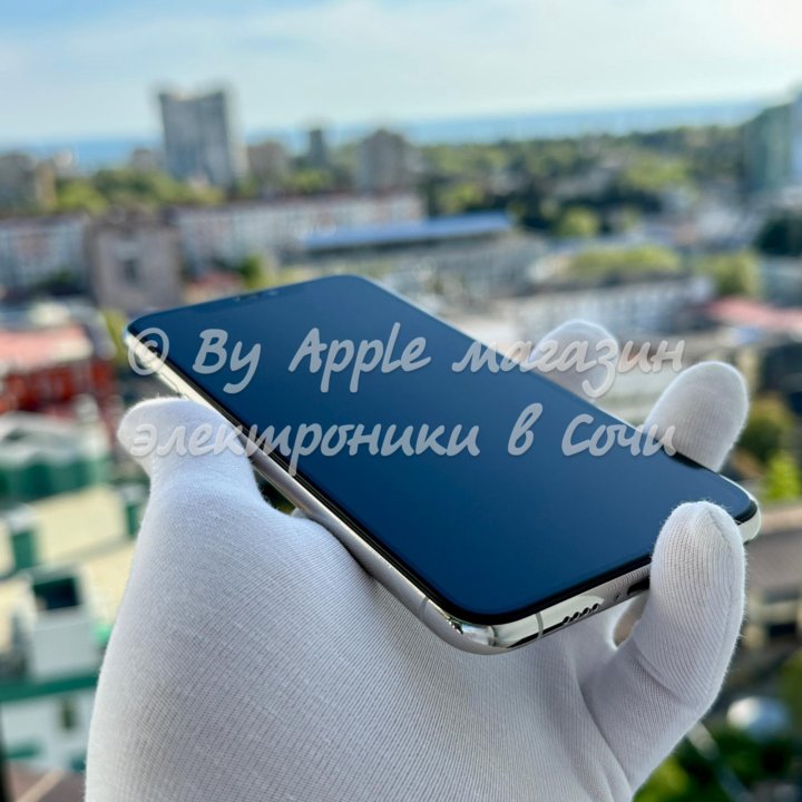 iPhone 11 Pro Max, 256 ГБ