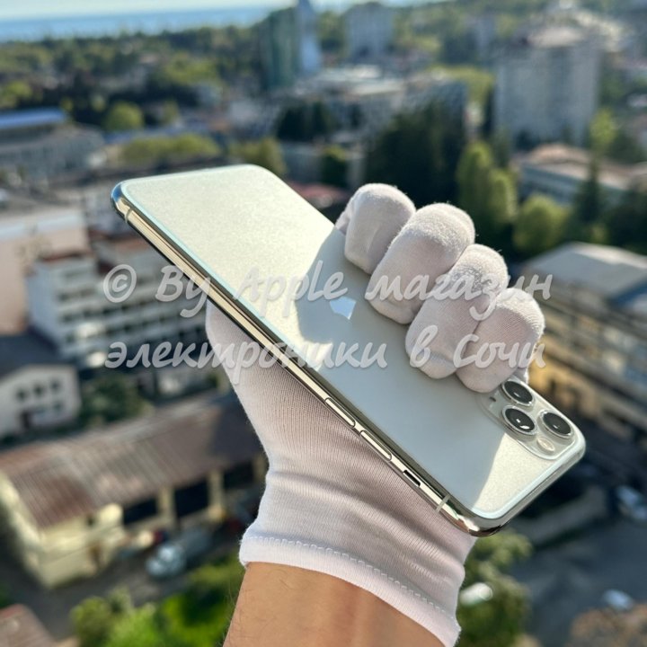 iPhone 11 Pro Max, 256 ГБ