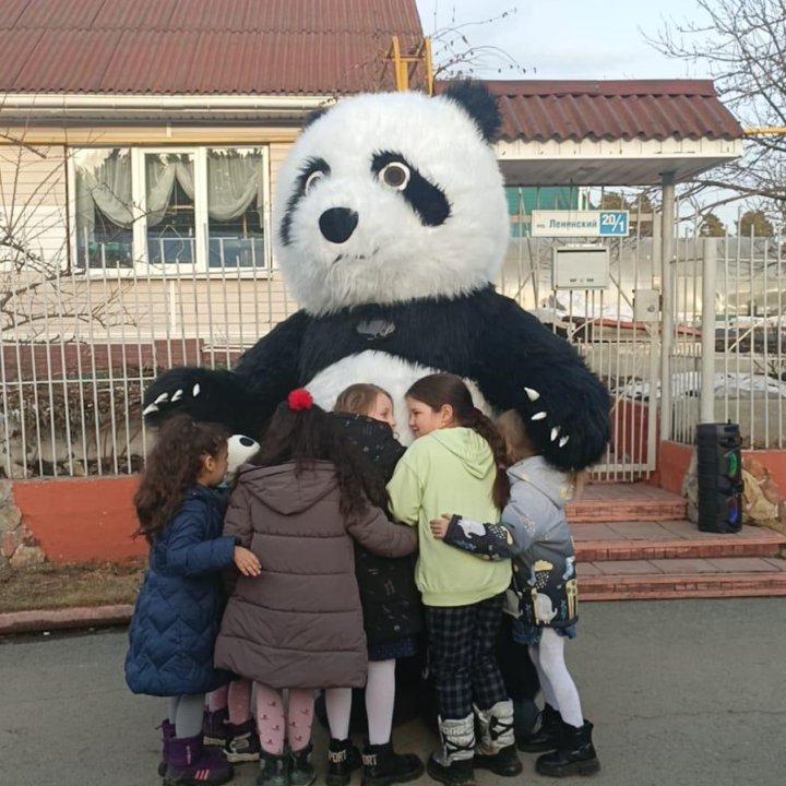 Поздравления. Мишка, Чебурашка, Панда, Зайка.