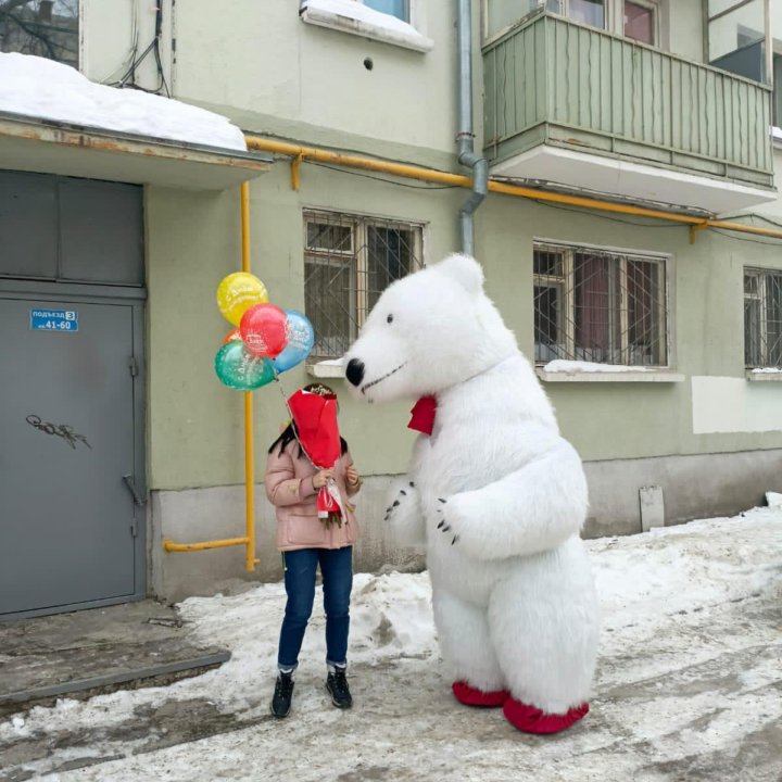 Поздравления. Мишка, Чебурашка, Панда, Зайка.