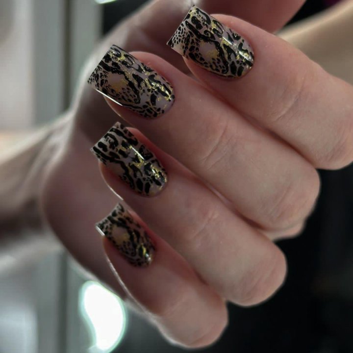 Курс «Дизайны»