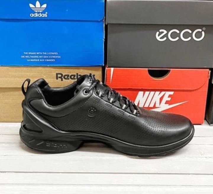 Кроссовки Ecco Biom