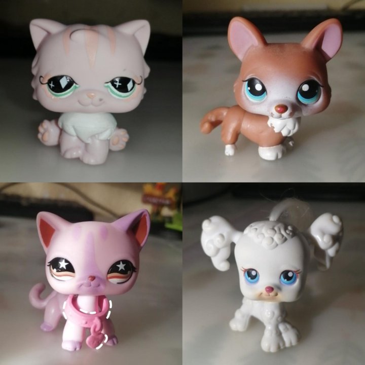 Littlest pet shop