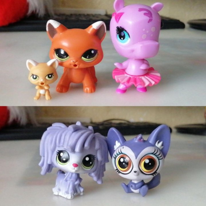 Littlest pet shop