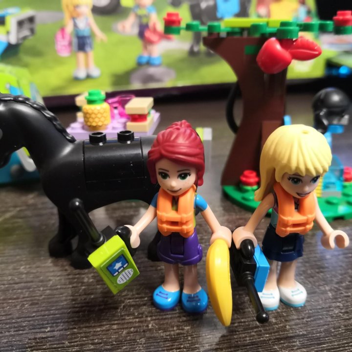 LEGO Friends 41339 Дом на колёсах