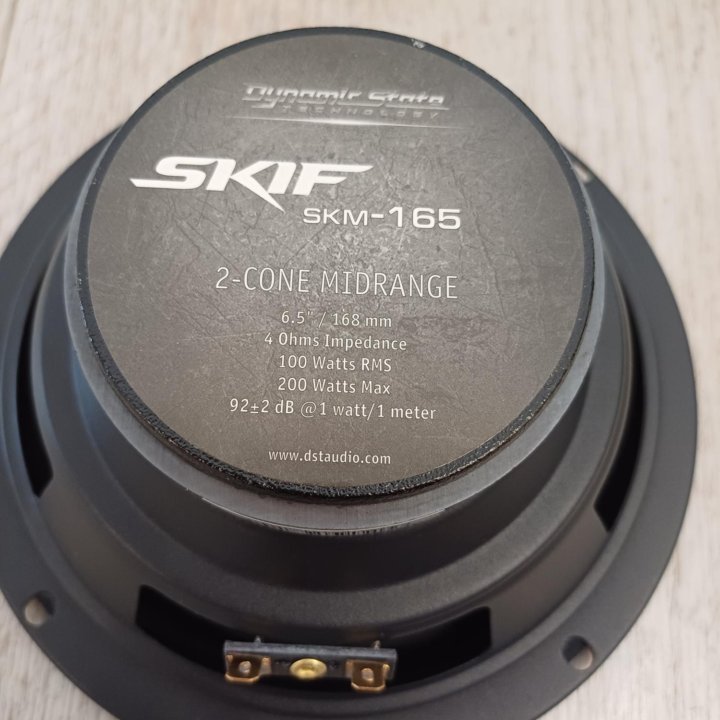 Новые динамики Dynamic State skif SKM-165