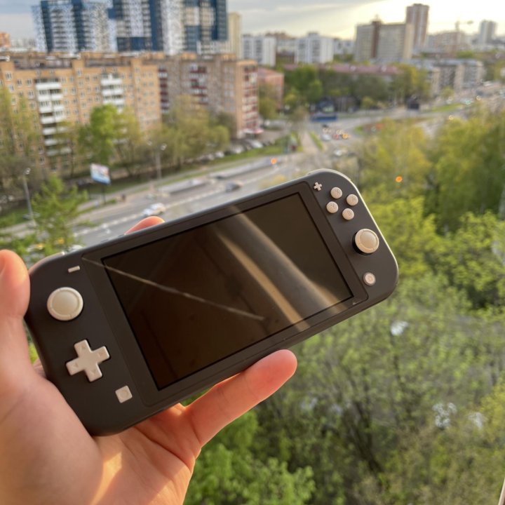 Nintendo Switch Lite (серая)