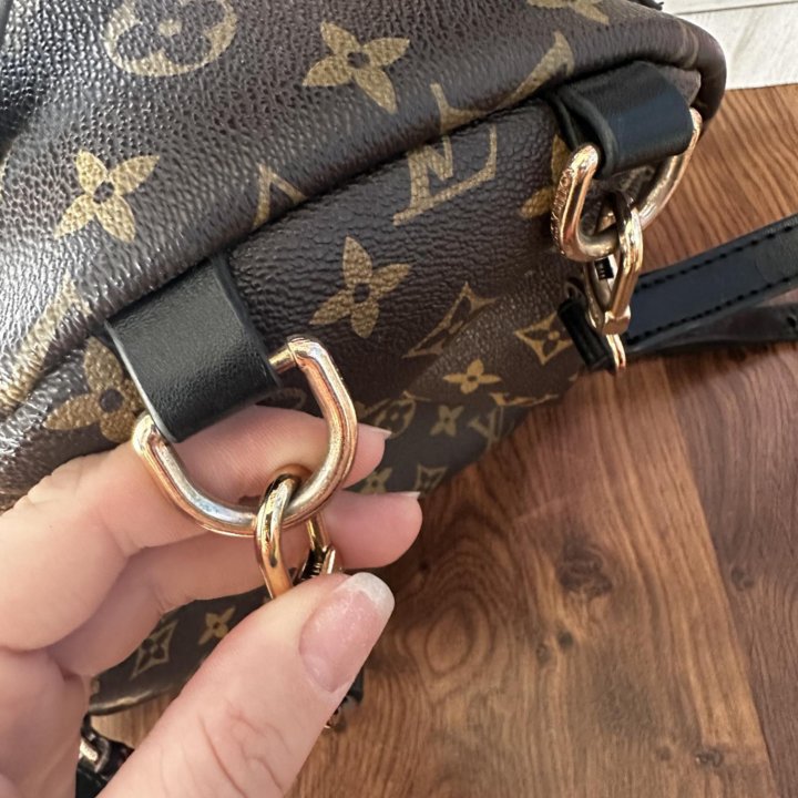 Рюкзак Louis Vuitton (LV)