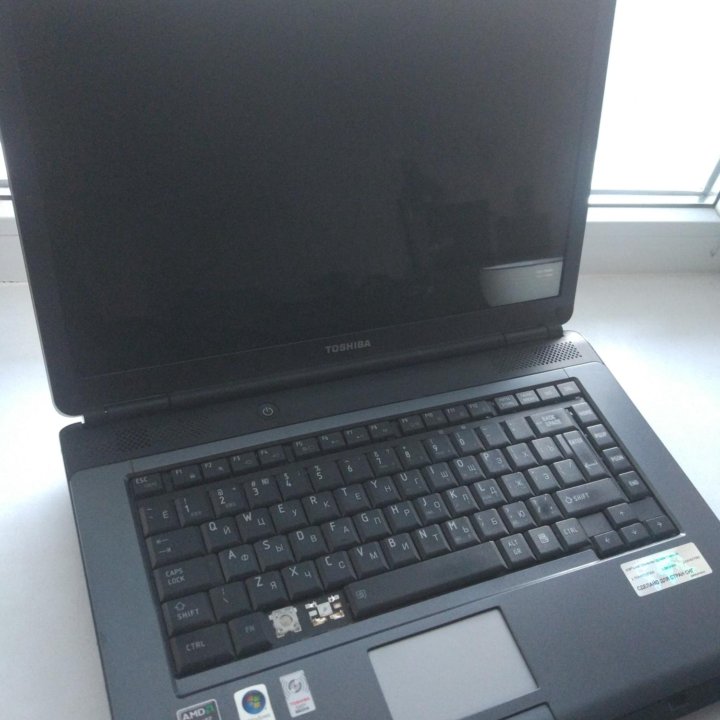 Ноутбук Toshiba Satellite L300D - 14N