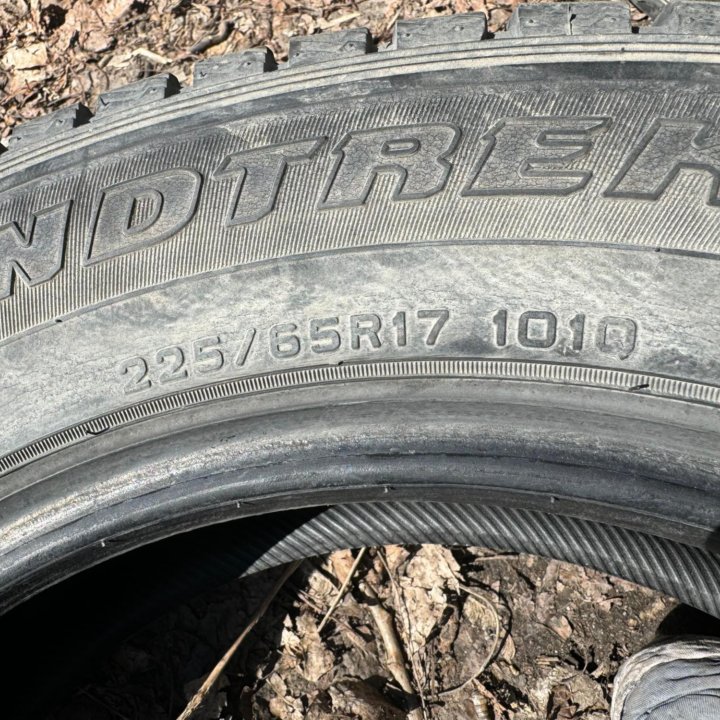 225/65 R17 DUNLOP ЛИПУЧКА