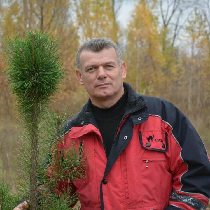 Ремонт сушильных машин ремонт духовых шкафов