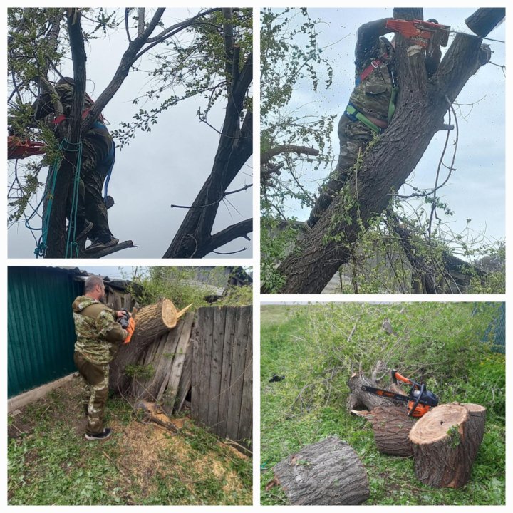 Спил деревьев. Опиловка.