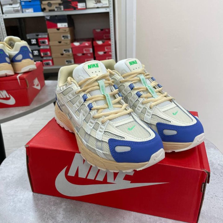 Кроссовки Nike P-6000