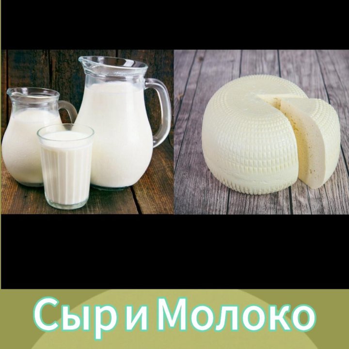 Молоко и Сыр коровье