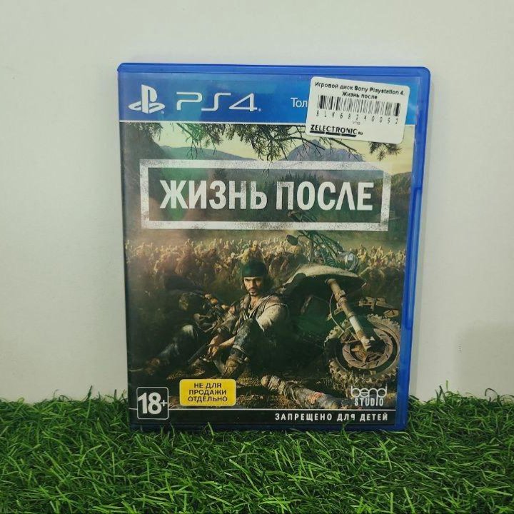 Sony Playstation 4. Жизнь после