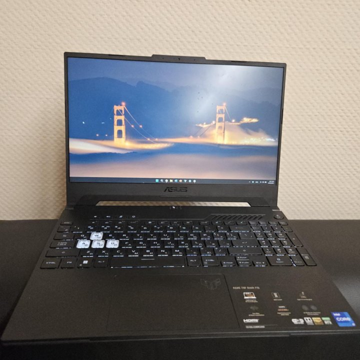 Asus TUF Dash F15 FX517ZE-HN107