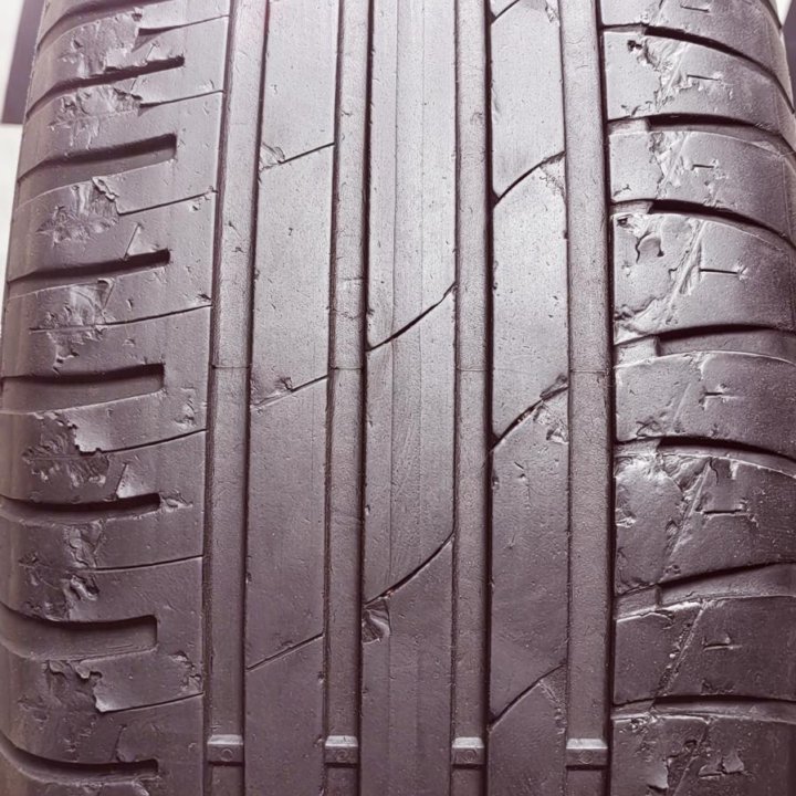 205/55R16 91V Cordiant Sport 3 одна