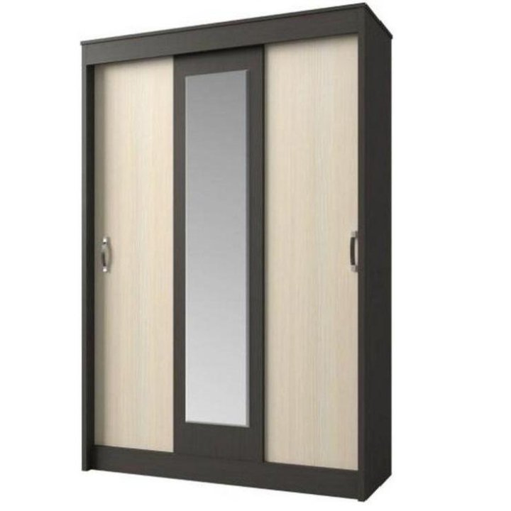 Шкаф-купе Бася