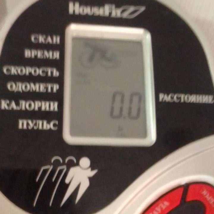 Спорт