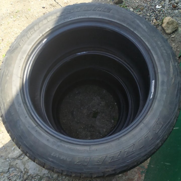 Шины Bridgestone Blizzak DM-V1