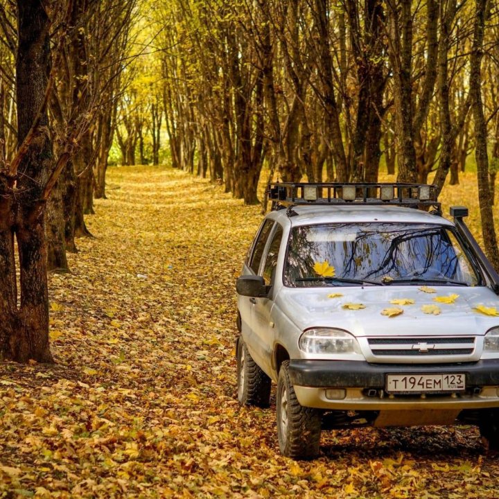 Chevrolet Niva, 2003