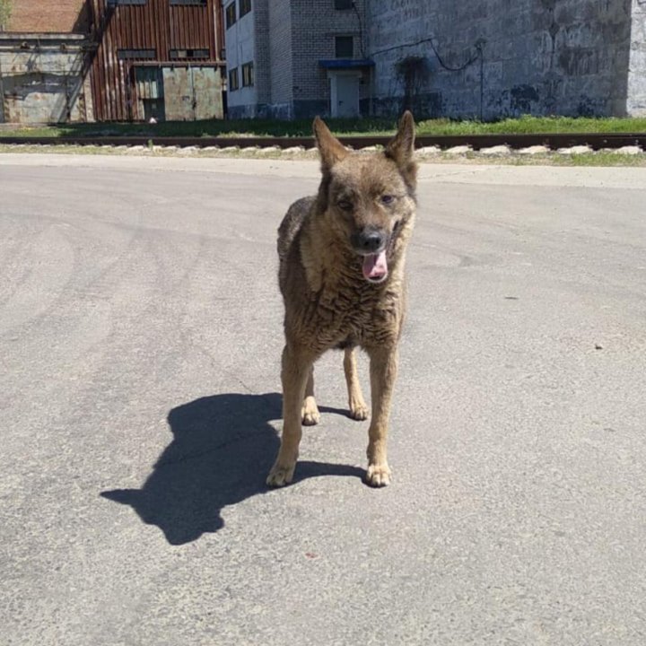 В очень добрые ручки